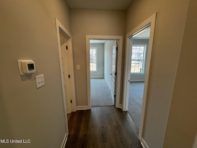 corridor featuring dark wood-type flooring