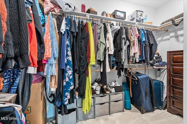 walk in closet with carpet floors