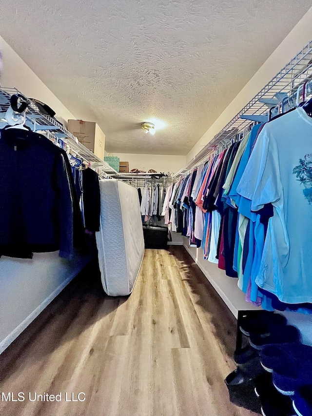 walk in closet featuring wood finished floors