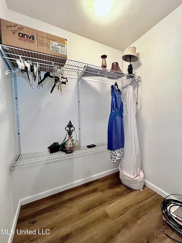 walk in closet featuring wood finished floors