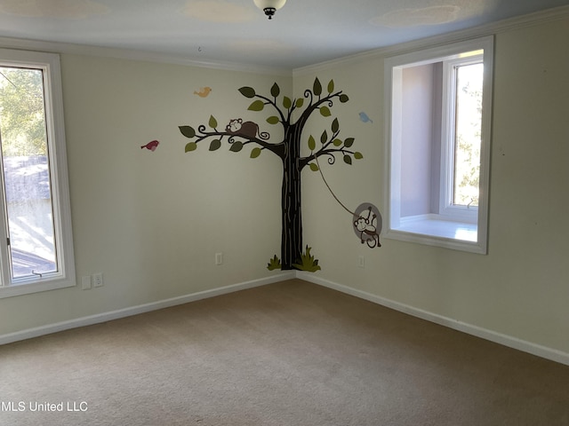 carpeted empty room with a wealth of natural light and crown molding