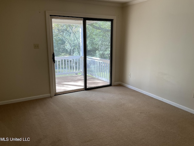 carpeted spare room with ornamental molding