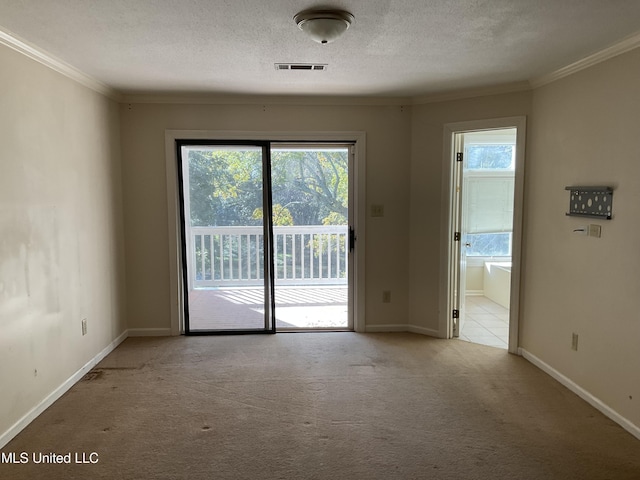 interior space with crown molding, light colored carpet, a healthy amount of sunlight, and a textured ceiling