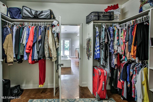 2948 Grove Meadows Dr, Nesbit, MS 38651 - view of walk in closet
