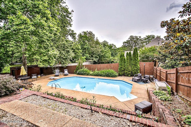 2948 Grove Meadows Dr, Nesbit, MS 38651 - view of pool with a patio, a fenced backyard, and a diving board
