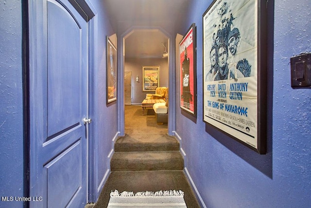 2948 Grove Meadows Dr, Nesbit, MS 38651 - corridor featuring carpet floors, baseboards, and a textured wall