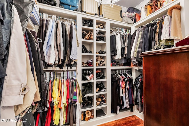 spacious closet featuring wood-type flooring