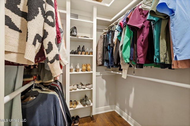 walk in closet featuring wood finished floors