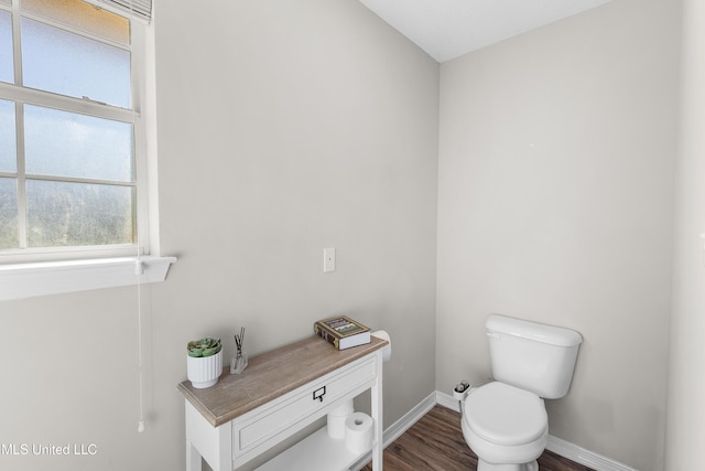 bathroom with wood-type flooring and toilet