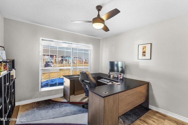 office space featuring a textured ceiling, light hardwood / wood-style floors, and ceiling fan