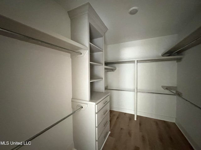 walk in closet featuring dark wood-type flooring