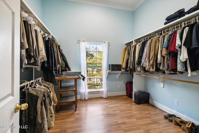 spacious closet with wood-type flooring