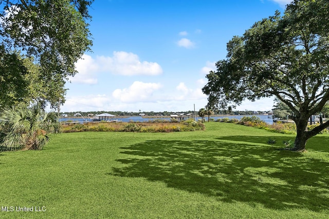 view of property's community featuring a water view and a lawn