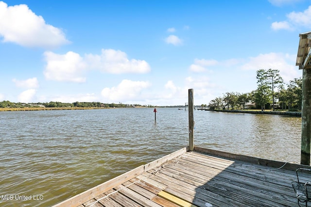 dock area featuring a water view