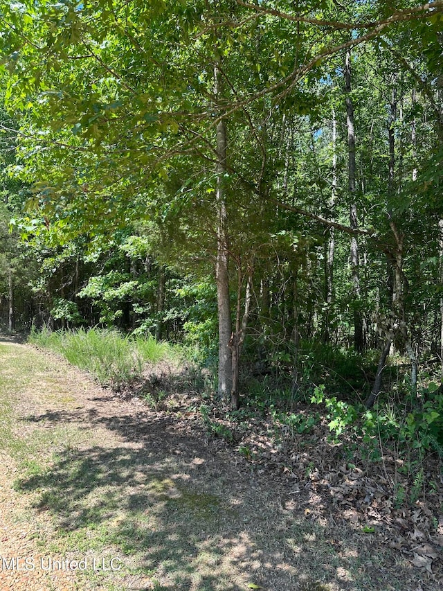 N Ridge Rd, Grenada MS, 38901 land for sale