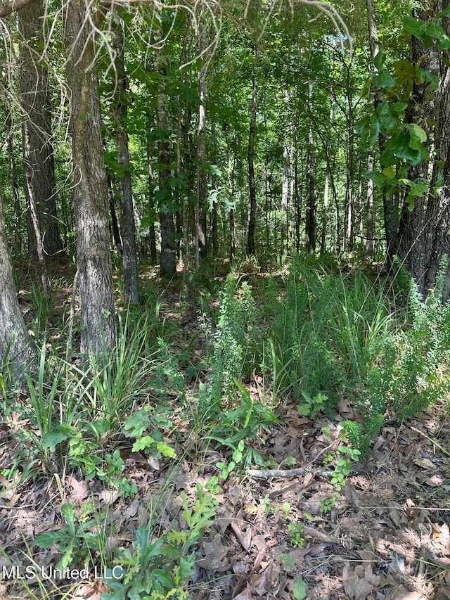 Listing photo 3 for N Ridge Rd, Grenada MS 38901