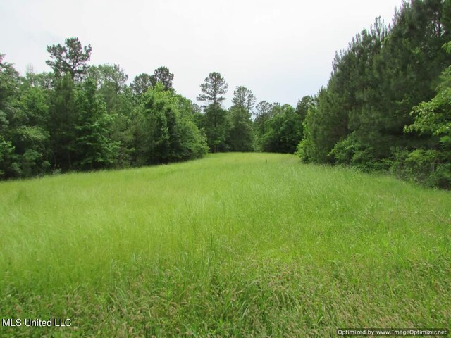 LOT3 Permenter Rd, Canton, MS 39046