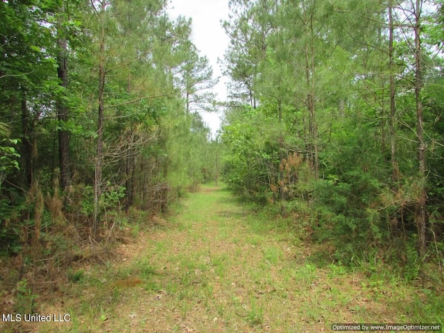 LOT3 Permenter Rd, Canton, MS 39046