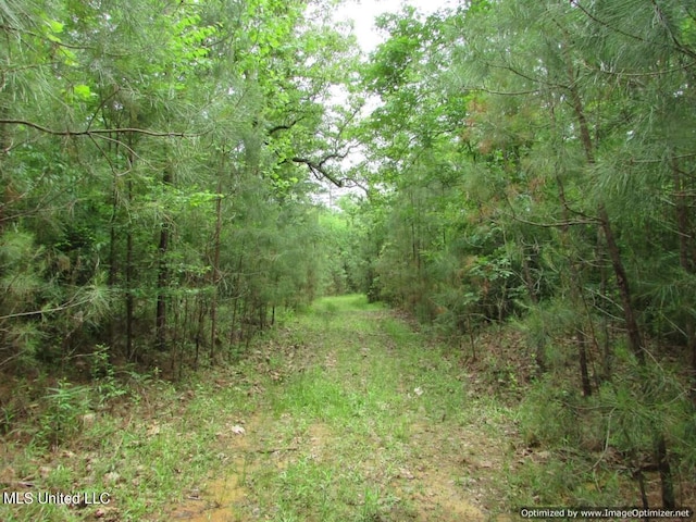 LOT3 Permenter Rd, Canton, MS 39046
