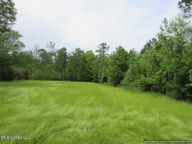 LOT3 Permenter Rd, Canton, MS 39046