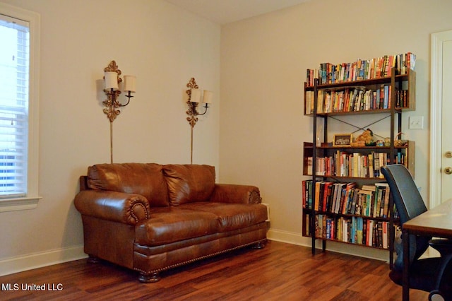 living area featuring dark wood-type flooring