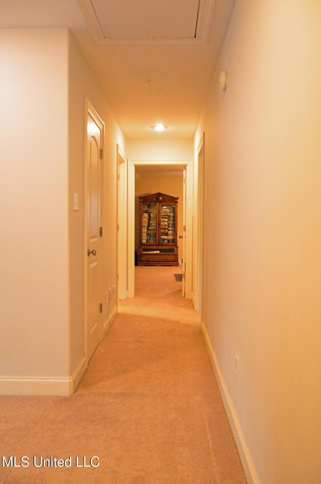 hallway with light colored carpet