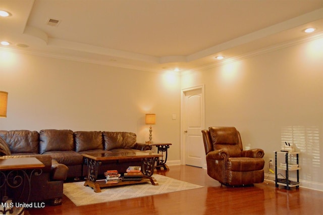 living room with a tray ceiling and wood-type flooring