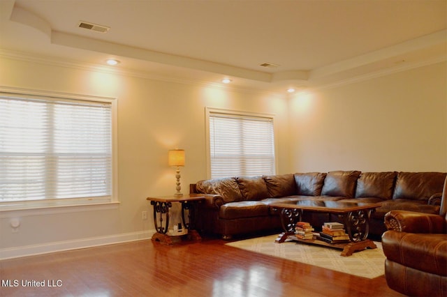 living room with a raised ceiling and plenty of natural light