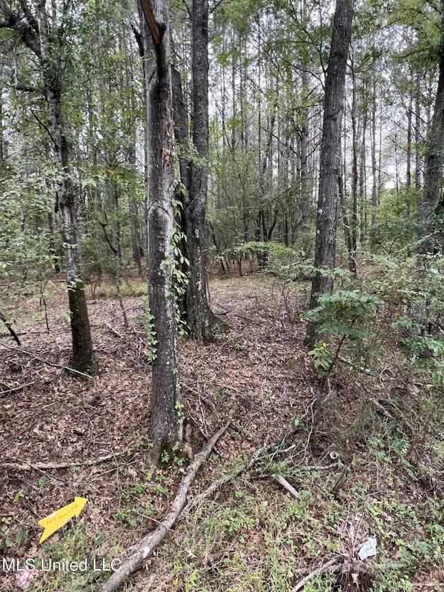 Dunn Rd, Terry MS, 39170 land for sale