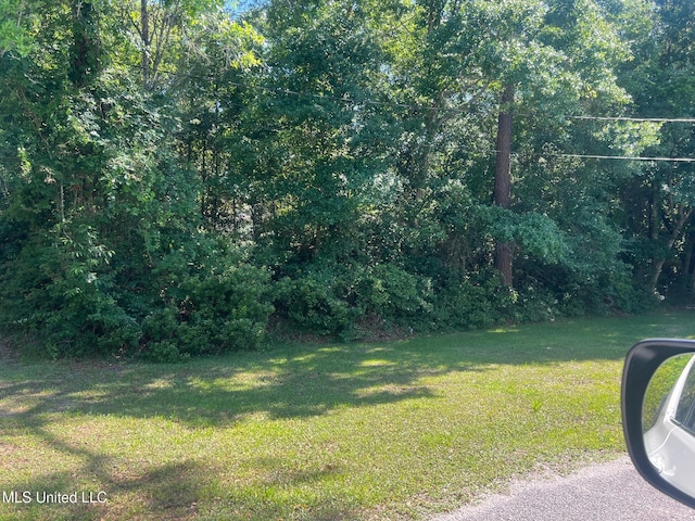 view of green lawn