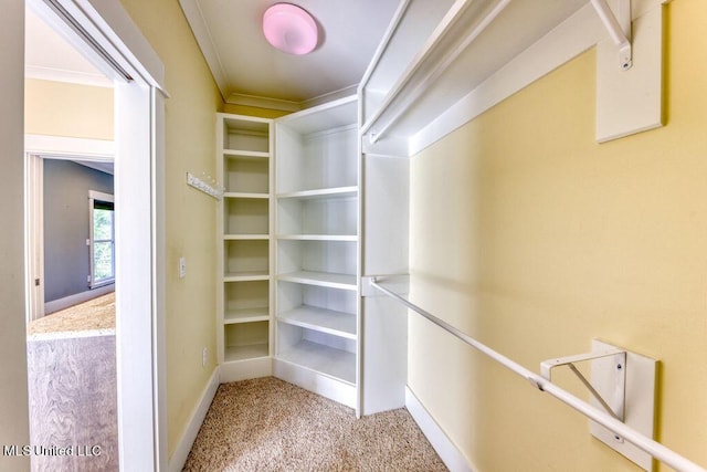 spacious closet featuring light carpet