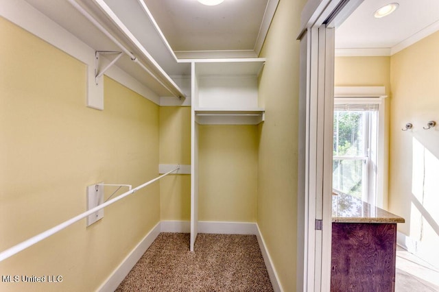 spacious closet with light colored carpet