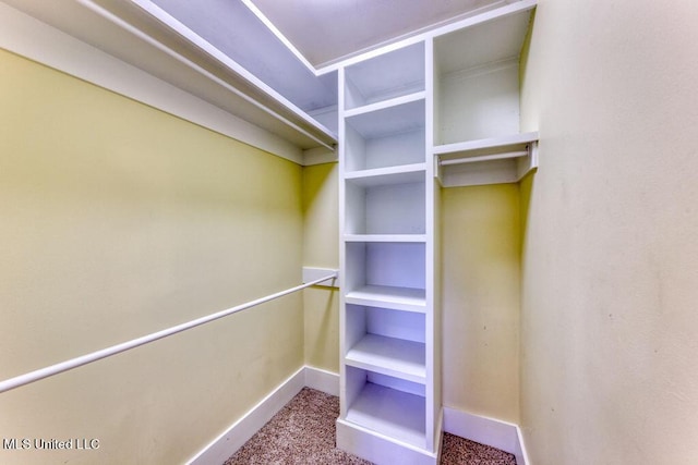 spacious closet with carpet