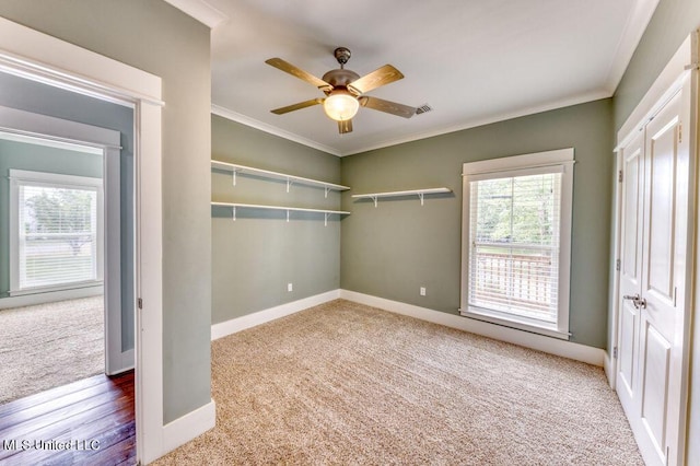 unfurnished bedroom with carpet, ceiling fan, crown molding, and a closet