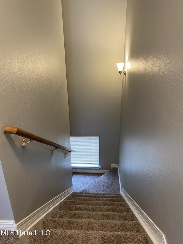 staircase featuring carpet