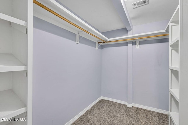 spacious closet featuring light carpet