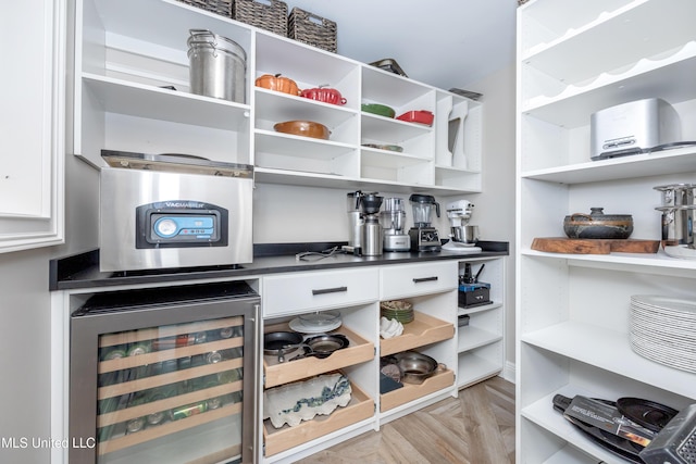 pantry with beverage cooler