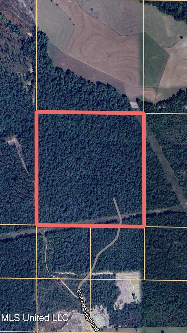 Doe Rdg, Highland, Lucedale MS, 39452 land for sale