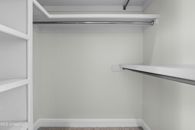 walk in closet with carpet