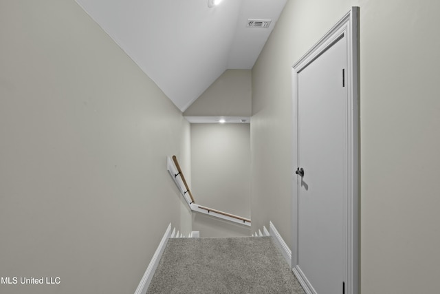 staircase featuring carpet and vaulted ceiling