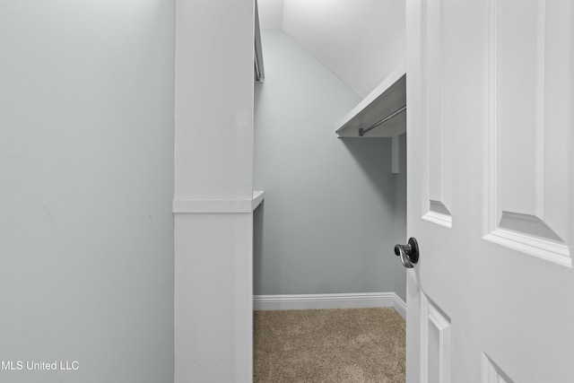 spacious closet with carpet