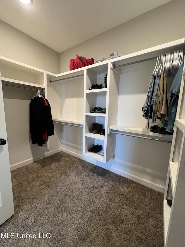 walk in closet with carpet