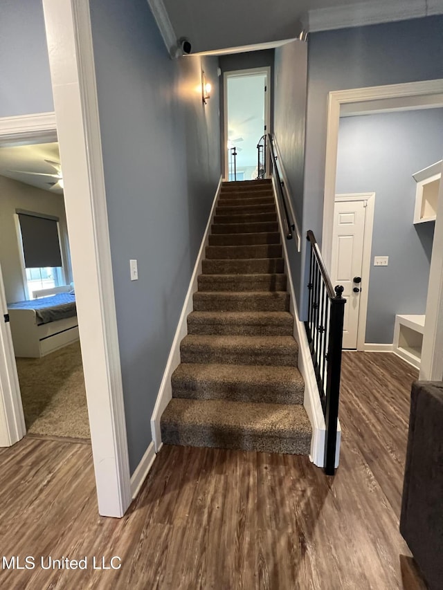 stairs with wood-type flooring, ornamental molding, and ceiling fan