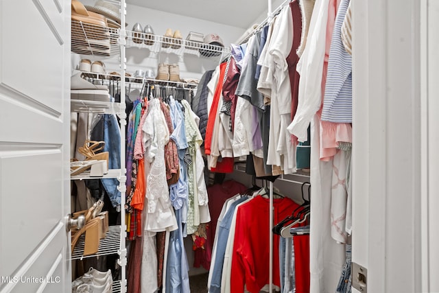 12 Mercer Dr, Petal, MS 39465 - view of walk in closet
