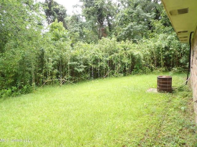 157 Tubman Cir, Natchez, MS 39120 - view of yard