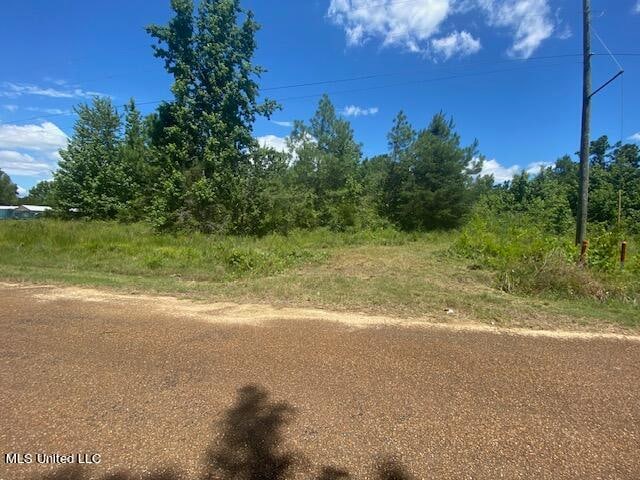 0 Burton, Senatobia, MS 38668