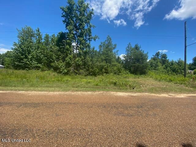 0 Burton, Senatobia, MS 38668