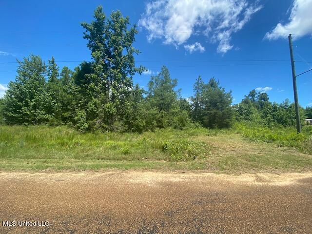 0 Burton, Senatobia, MS 38668