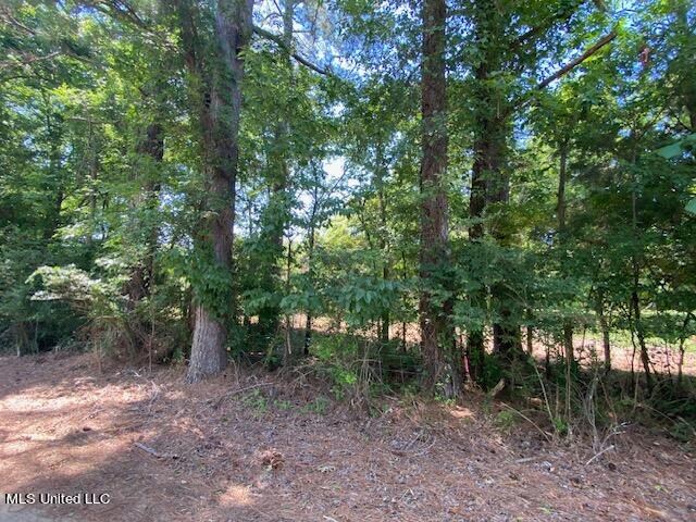 0 Burton, Senatobia, MS 38668