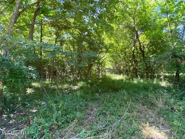 0 Burton, Senatobia, MS 38668